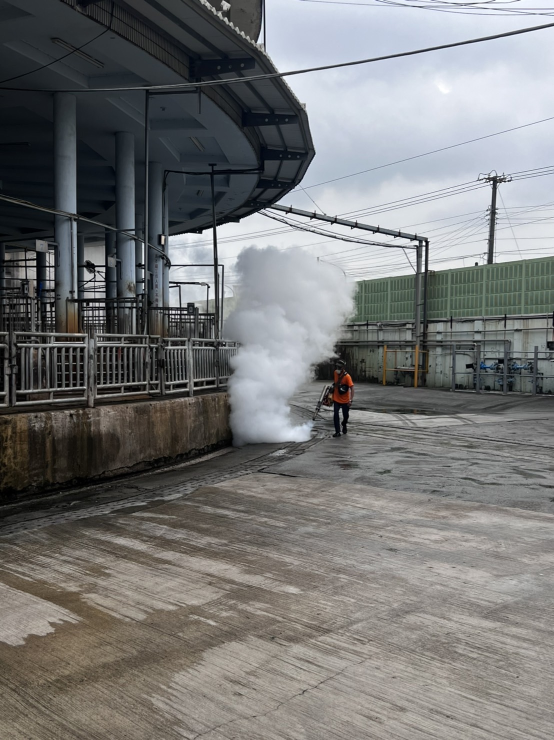 屏東蚊蟲防治作業